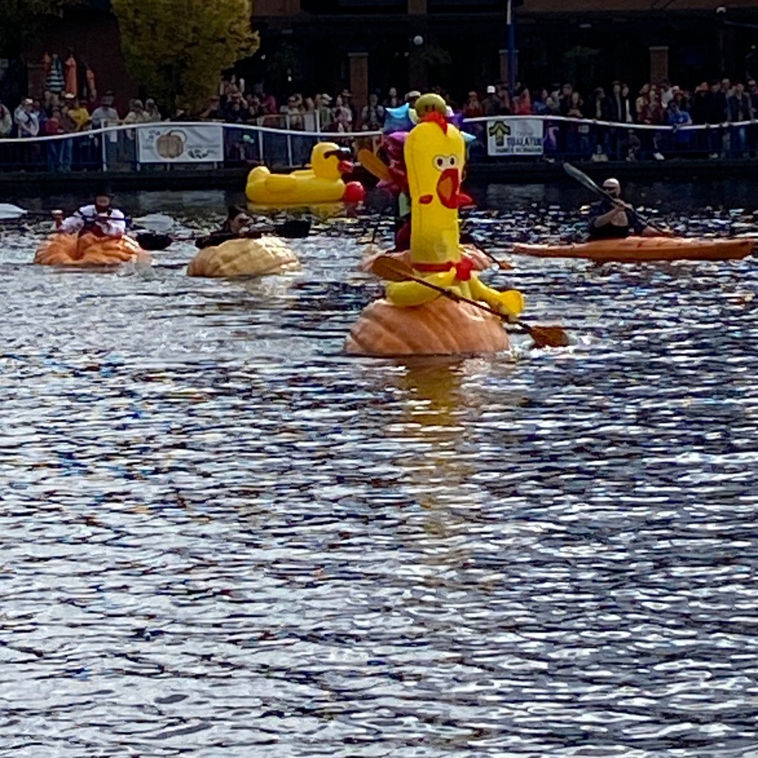 asimmons208's tweet photo. Great way to spend a Sunday afternoon: watching people in costume race giant pumpkins across a man-made lake. https://t.co/Vc5NAm3ihV https://t.co/hCR1vBHzeM