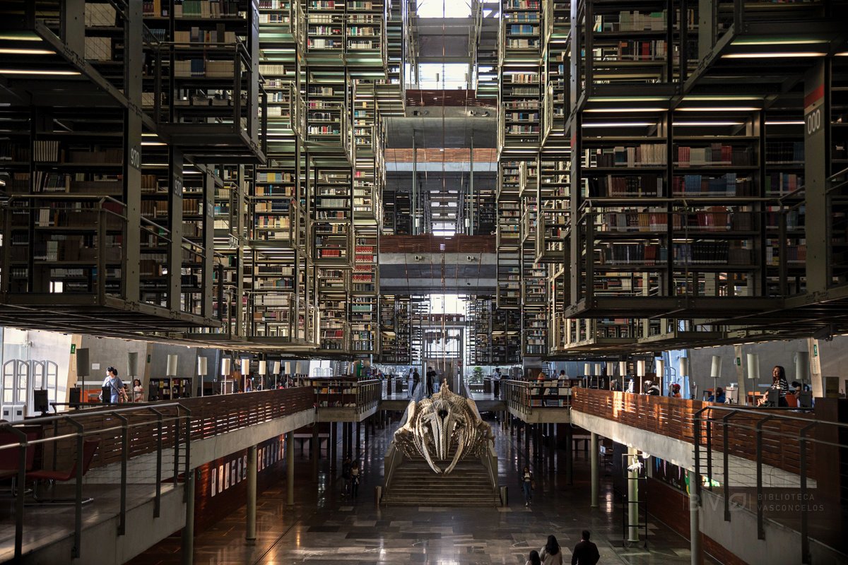 VSCLS's tweet photo. Las bibliotecas desempeñan una labor invaluable en la preservación y difusión del conocimiento humano.

En este #DíaInternacionalDeLasBibliotecas, ¡celebra con nosotros!

Visítanos, elige tu próxima lectura y participa en nuestras actividades. 📚

📸 Arisbeth López

#I❤️BV📖🐋 https://t.co/0sKCZhXzWb