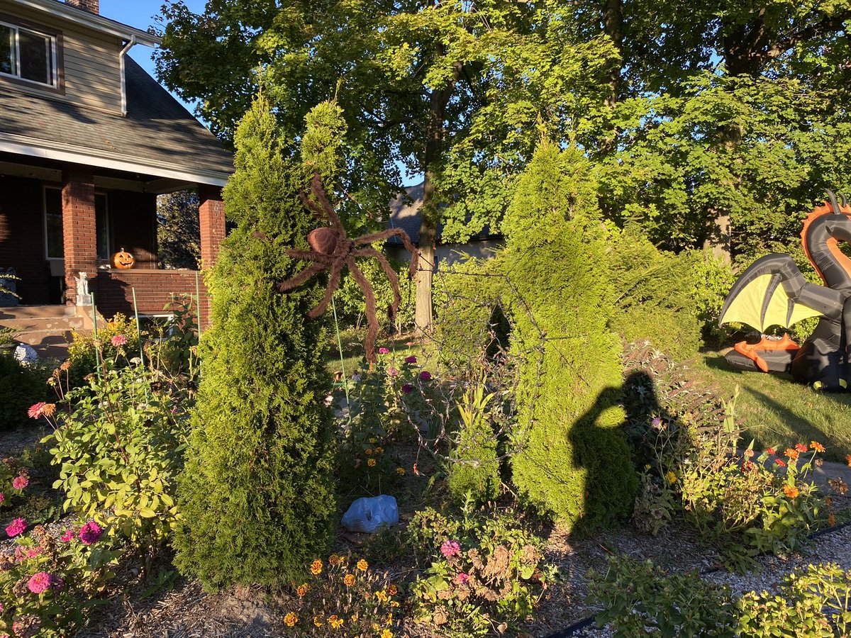 Photos from the Halloween party on Saturday.