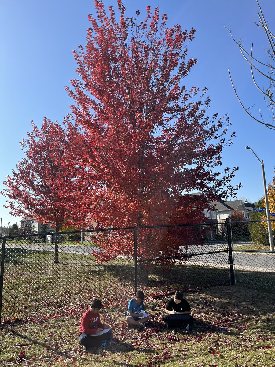 Marina Gagliano tweet media