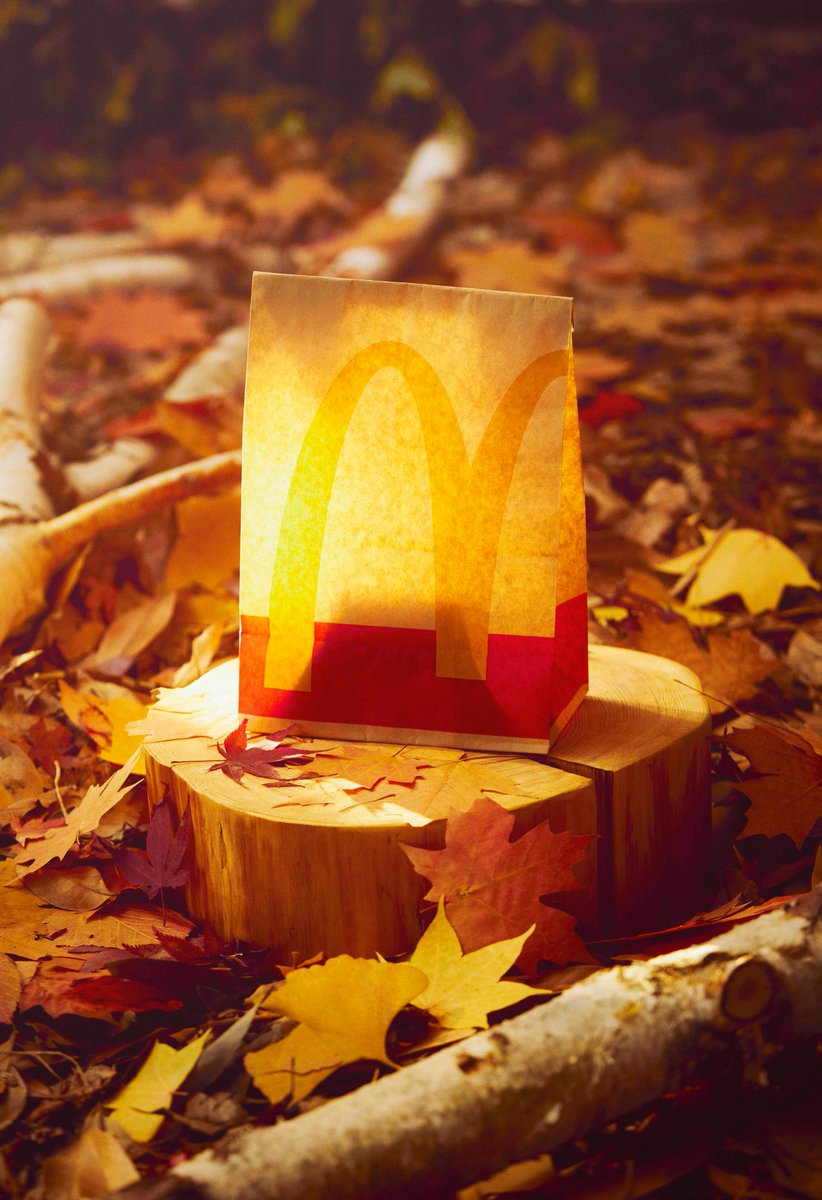 食べてくれるの、待ってます。 https://t.co/Ri4WkjYW5m