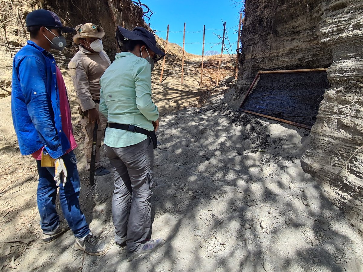 ERC_IMAGINE tweet media