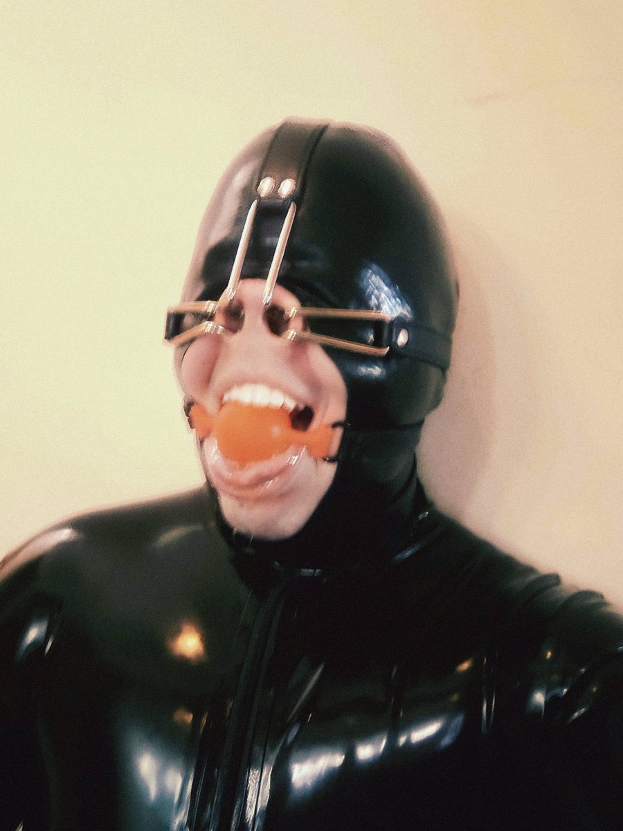 Seb 🐽⚡️💦 tweet media