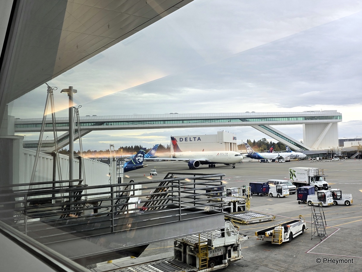 TravelGumbo's tweet image. #GumboOnTheGo!    #ttot

#SuperHigh #SkyBridge #SeattleAirport

TravelGumbo
By Travelers, for Travelers

travelgumbo.com/resource/airpo…