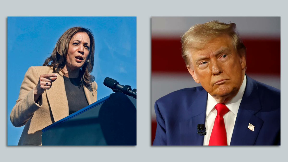 mjfree's tweet photo. In 15 days we will vote the most qualified candidate in modern times into the Oval Office, who happens to be a woman.

And we will vote the least qualified candidate in American history INTO PRISON -- where we belongs. 

❤️ if you're with me https://t.co/T7S77AfXwj
