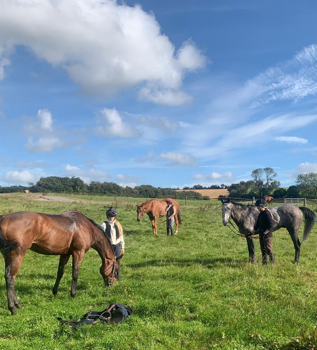 Rory_gillard's tweet photo. Booooom 💥
The Gillard double at Plumpton! 💥

Incredible result for our syndicate horse Kilcummin who wins at 12/1! 
Adding on to Clinton Lane who wins at 11/1 for Owner Tim Seegar.

2 Brilliant rides from one of the best jockeys in UK jumps racing.

A massive result for yard well deserved! 🎉

@GillardRacing
@GillardFergus

From left to right
John Betjeman 
Clinton Lane 
Kilcummin