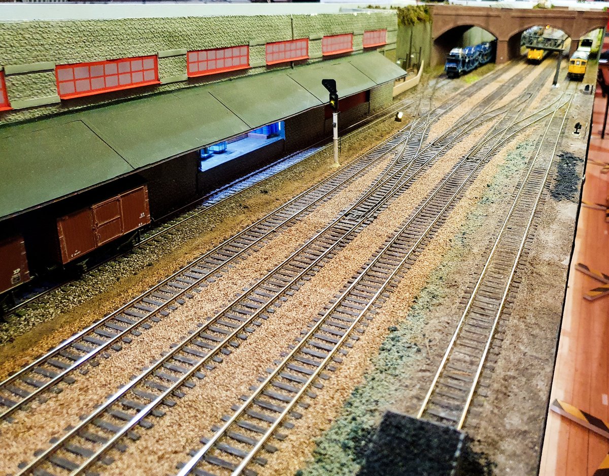 Carshalton & Sutton MRC #TMRGUK tweet media