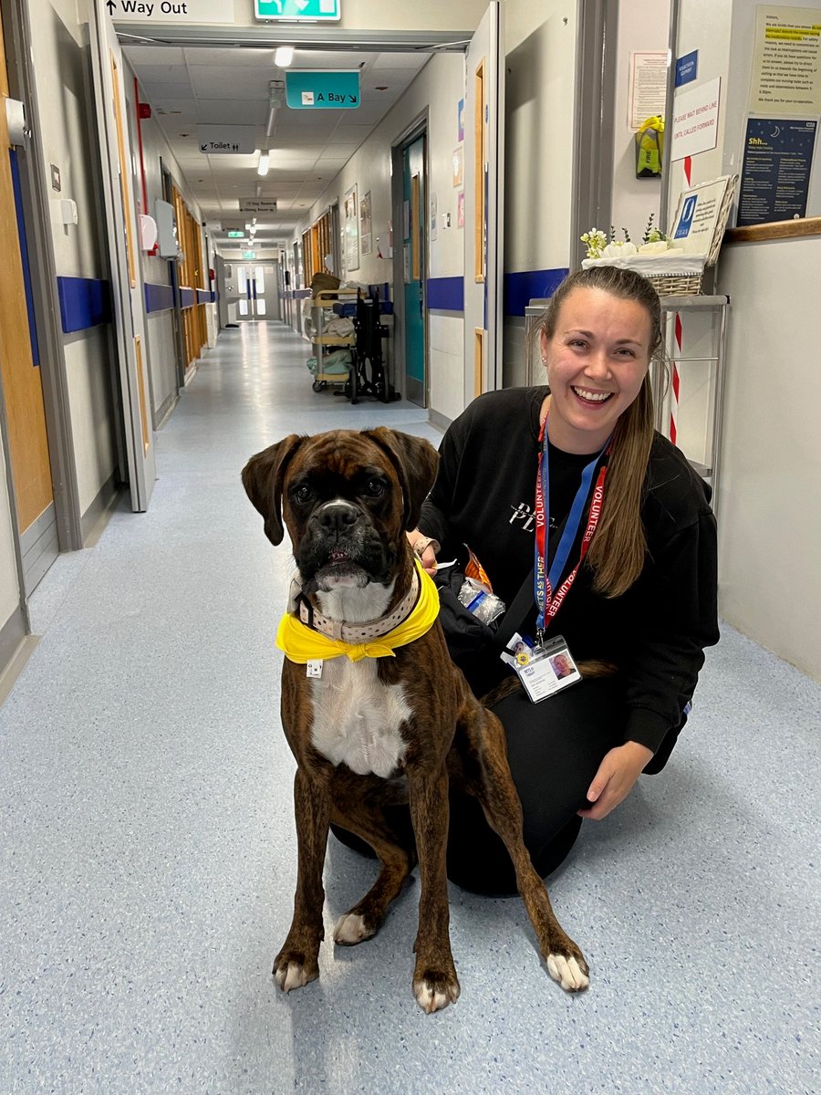 MCHFTVolunteering (@mchftvolunteers) on Twitter photo We're thrilled to welcome our latest Therapy dog Maggie and owner Nia to MCHFT's volunteer team. Their first visit went brilliantly. Lovely to see the positive difference therapy dogs make to patients, visitors & staff #Volunteer <a href="/PetsAsTherapyUK/">Pets As Therapy</a> <a href="/MidCheshireNHS/">Mid Cheshire Hospitals 🏥</a> <a href="/NickyMadeley22/">Nicky</a> We're thrilled to welcome our latest Therapy dog Maggie and owner Nia to MCHFT's volunteer team. Their first visit went brilliantly. Lovely to see the positive difference therapy dogs make to patients, visitors & staff #Volunteer <a href="/PetsAsTherapyUK/">Pets As Therapy</a> <a href="/MidCheshireNHS/">Mid Cheshire Hospitals 🏥</a> <a href="/NickyMadeley22/">Nicky</a>