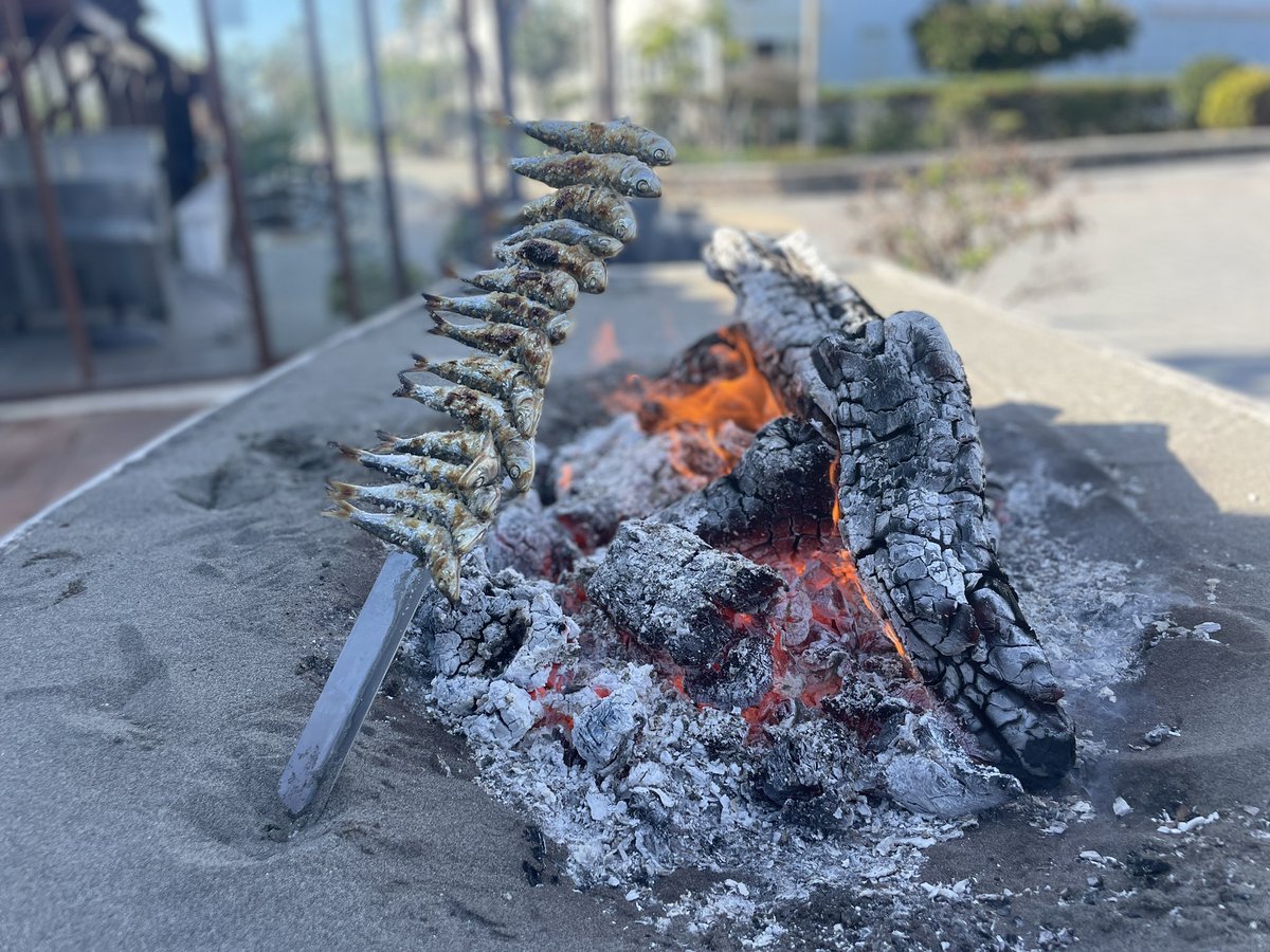 Hoy disfrutamos de lo lindo en #AxarquiadeMalaga 
#Torrox😍el mejor clima de Europa☀️🌊con paisajes y experiencias que nos invitan a vivir un #otońo repleto de #salud <a href="/ElretoMartinez/">Pablo Martínez</a> <a href="/canalsaludaldia/">Salud al Día</a> <a href="/canalsurmas/">CanalSur Más</a>