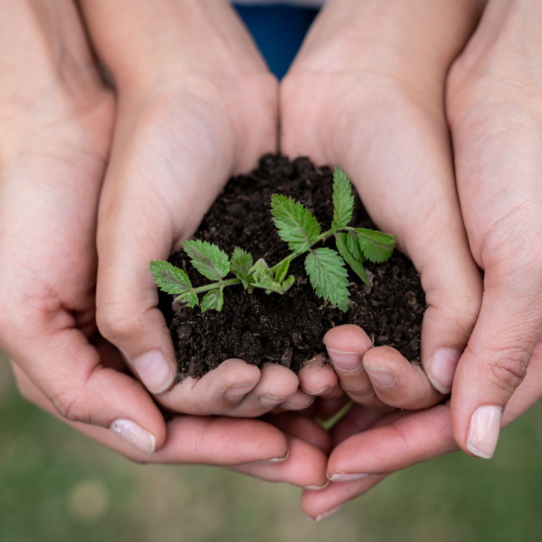 Waste Reduction Week 2024

Is a national initiative that encourages individuals, businesses, and communities to come together and focus on sustainability. This year, the celebration runs from October 21 to 27.

What are you going to do to reduce waste from now on?