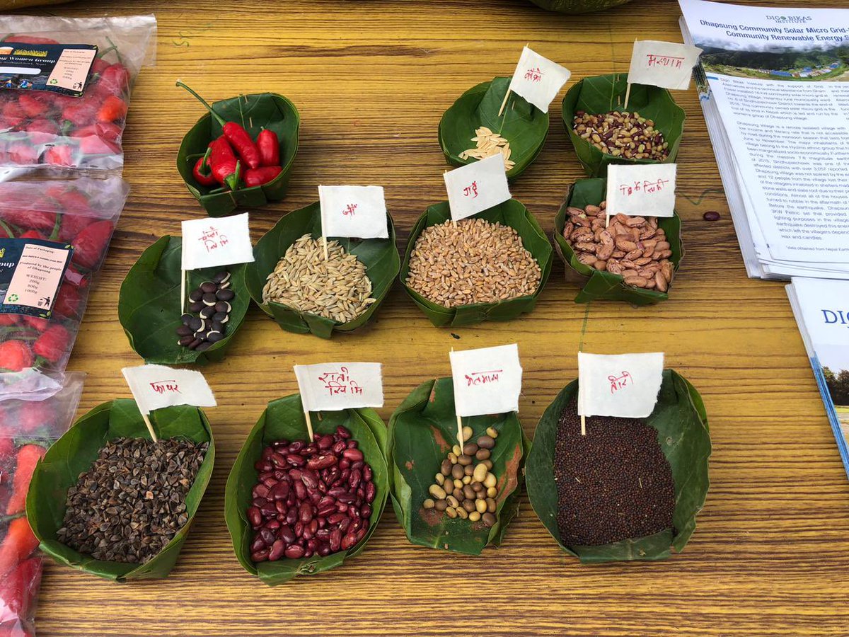digobikasdotorg's tweet photo. Dhapsung Women Group, Helambu-6, Sindhupalchowk participated in “National Dialogue on sustainable Agroecology” co facilitated by Digo Bikas Institute with other organizations.

#Agroecology
#Climate_Justice https://t.co/mokUnNeaUT