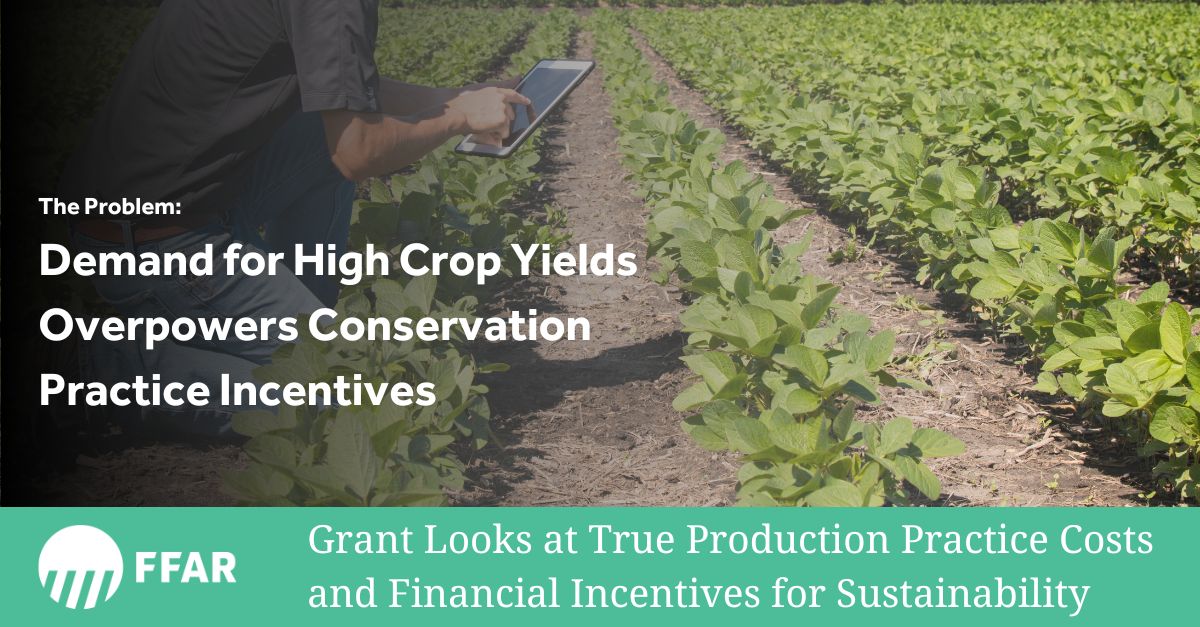 Foundation for Food & Agriculture Research (FFAR) (@foundationfar) on Twitter photo How do we break the cycle of fertilizer runoff and water pollution when demand for yields overpowers the potential for eco-practices?
FFAR & the <a href="/GLPFund/">Great Lakes Protection Fund</a> have awarded $1.2M to researchers at the <a href="/UMich/">University of Michigan</a> to look into just that.
bit.ly/3NAdvoe How do we break the cycle of fertilizer runoff and water pollution when demand for yields overpowers the potential for eco-practices?
FFAR & the <a href="/GLPFund/">Great Lakes Protection Fund</a> have awarded $1.2M to researchers at the <a href="/UMich/">University of Michigan</a> to look into just that.
bit.ly/3NAdvoe