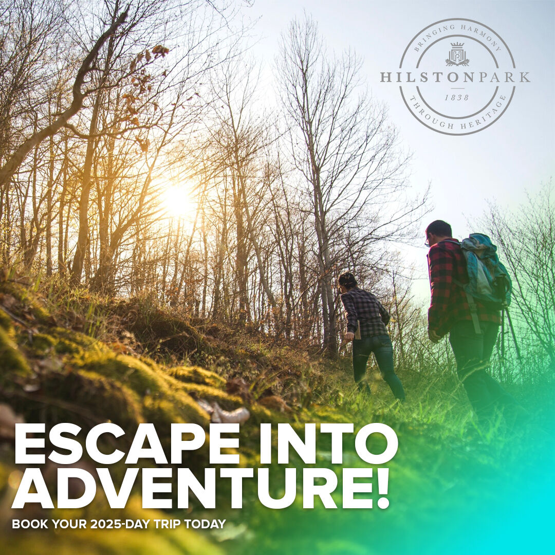 Escape into Adventure!

Need a break from the ordinary? Book your 2025-day trip at Hilston Park and escape into an adventure like no other. Nature, thrills, and fun await!

To find out more visit link in bio.

#DayTripAdventure #HilstonPark #2025Bookings #NatureEscape