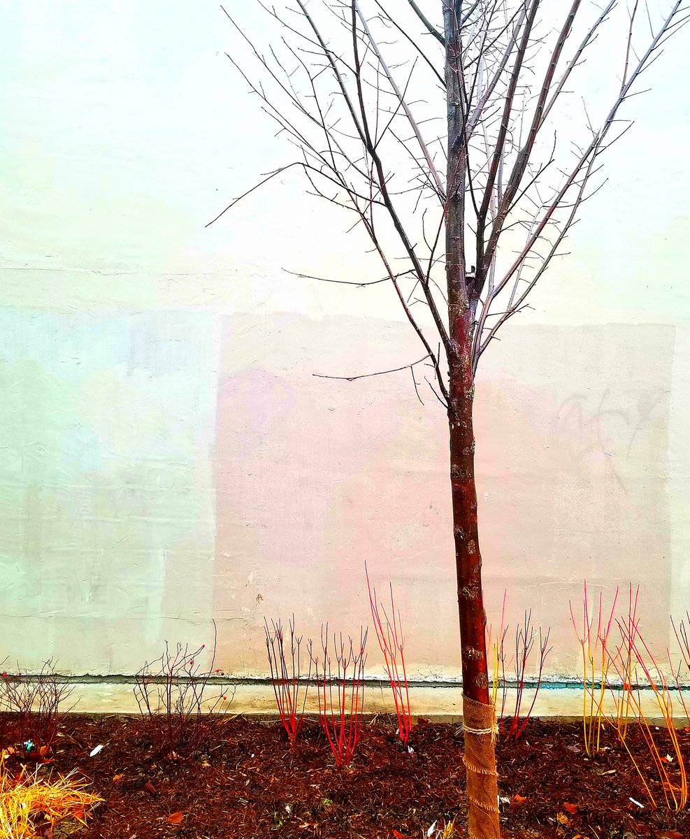 Juniperpoetry's tweet photo. Juniper's new Fall Issue is now online! Featuring new poetry from Sneha Madhavan-Reese, Robert Estes, Jordan Redekop-Jones, Eóin Flannery, Julie Roorda &amp; more.

Read it here:
https://t.co/bQ556Njtit

Cover photo by Susan Winemaker.

@onscrn @EoinFlannery @RoordaJulie https://t.co/PkOpjkgYRx