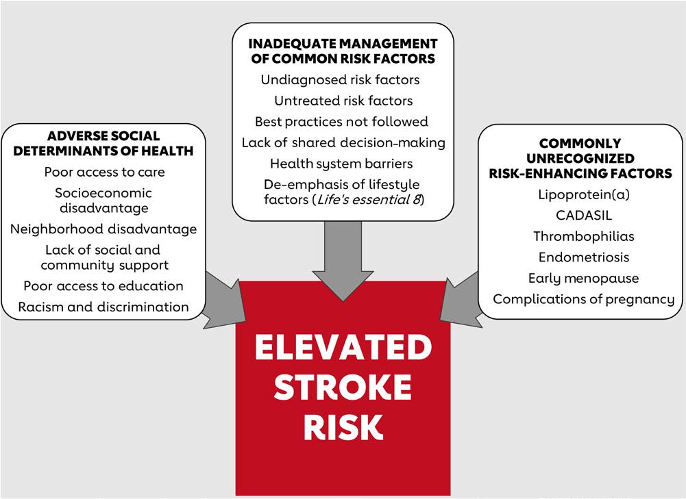 Stroke AHA/ASA (@strokeaha_asa) on Twitter photo 2024 Guideline for the Primary Prevention of Stroke: A Guideline From the American Heart Association/American Stroke Association ahajrnls.org/3AiZus1 <a href="/CBushnellMD/">Cheryl Bushnell, MD, MHS, FAHA</a> <a href="/AnjailIbrahim/">Dr. Anjail Sharrief-Ibrahim</a> <a href="/ChaturvediNeuro/">Seemant Chaturvedi</a> <a href="/LBGoldsteinMD/">Larry Goldstein, MD</a> 2024 Guideline for the Primary Prevention of Stroke: A Guideline From the American Heart Association/American Stroke Association ahajrnls.org/3AiZus1 <a href="/CBushnellMD/">Cheryl Bushnell, MD, MHS, FAHA</a> <a href="/AnjailIbrahim/">Dr. Anjail Sharrief-Ibrahim</a> <a href="/ChaturvediNeuro/">Seemant Chaturvedi</a> <a href="/LBGoldsteinMD/">Larry Goldstein, MD</a>