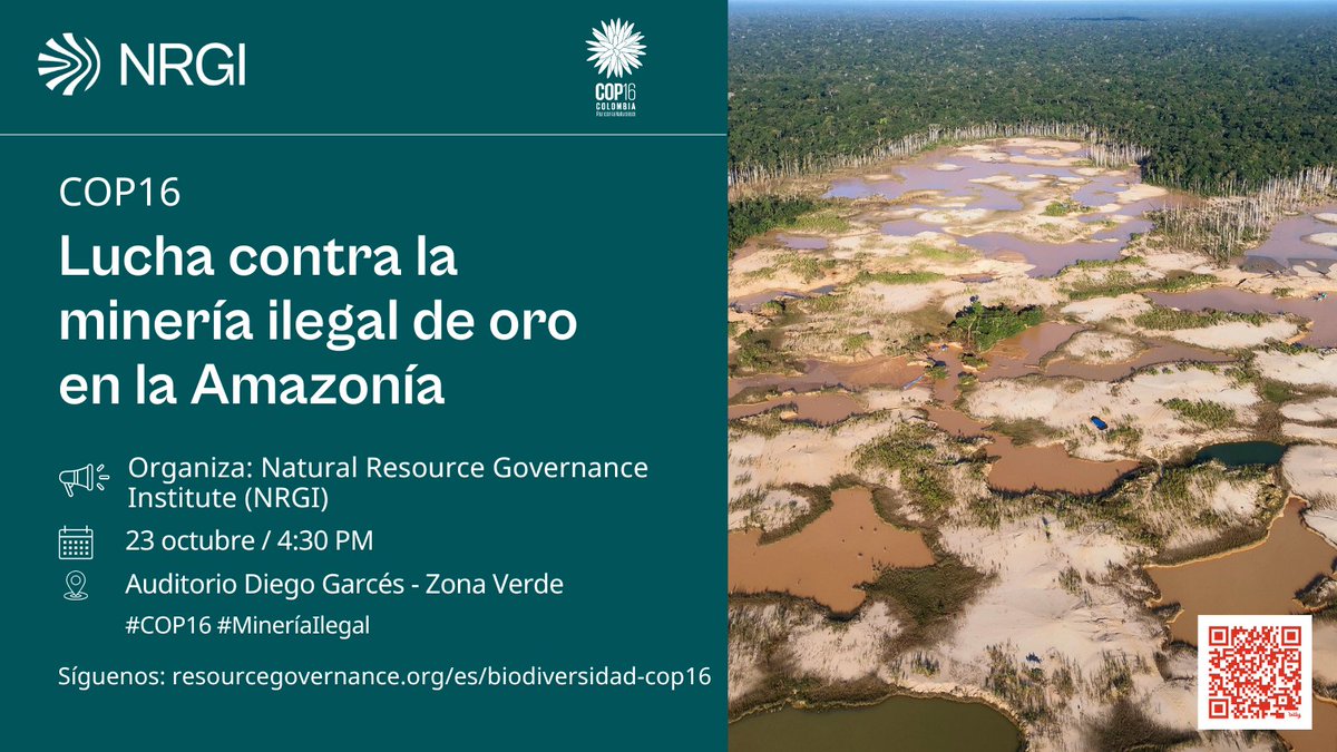 #COP16 ¿ Cuál es el impacto de la minería ilegal de oro en la #Amazonía? ¿Qué pueden hacer los gobiernos, empresas, soc. civil para frenarla? 

💡Únete al debate de expertos de NRGI y la región para promover la justicia y proteger la Amazonía.

🔎+ info: resourcegovernance.org/es/events/luch…