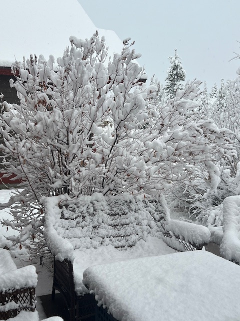 WPLodgingCo's tweet photo. ☃️ Snowy morning here in Winter Park! #ventureout https://t.co/kYfZWgCMwq