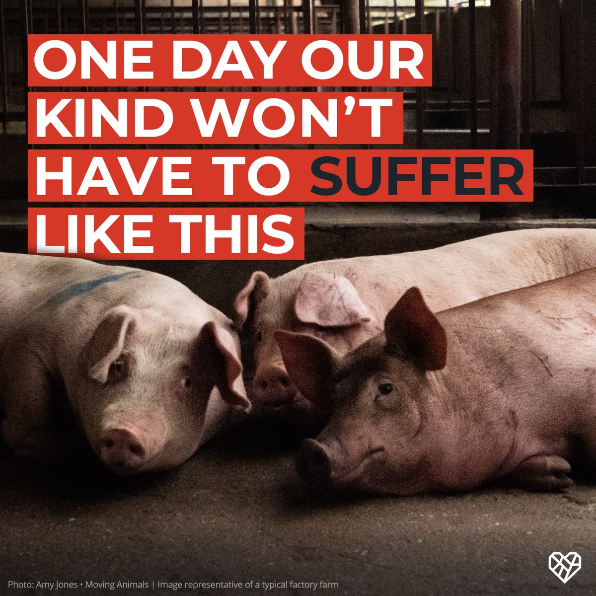 Ready to be a hero for our animal companions? Unleash the power of compassion with our latest blog post. Learn how to make a difference in the lives of animals with these easy and impactful ways here: bit.ly/48hBcuZ