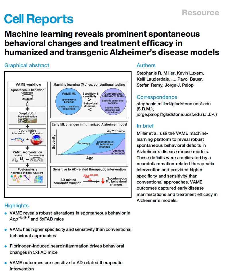 New paper by Jorge Palop's lab <a href="/CellReports/">Cell Reports</a> we collaborated. We report a #MachineLearning platform for unbiased &amp; sensitive behavioral analysis of #Alzheimers mice &amp; protection from AD behavioral alterations by genetic #fibrin inhibition. 
cell.com/cell-reports/f…
