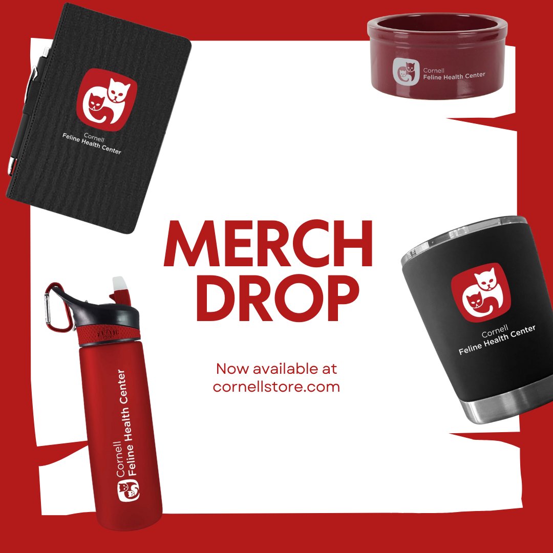 Cornell Feline Health Center tweet media