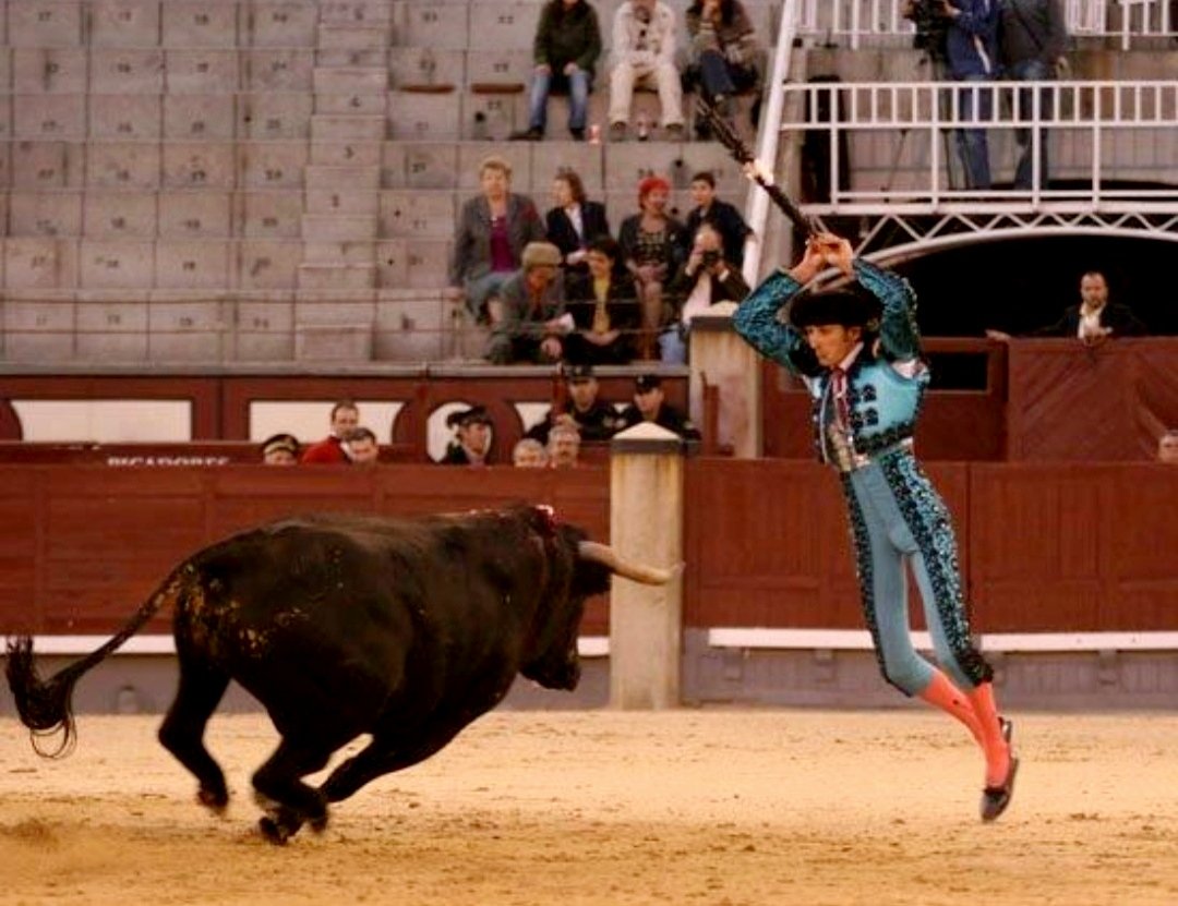 Tal día como hoy en Las Ventas el 21 de octubre de 2007

Fue condenado a banderillas negras un novillo de Miguel Zaballos.

📸 David Adalid <a href="/davidadalid1/">David Adalid</a> poniendo el par de castigo.