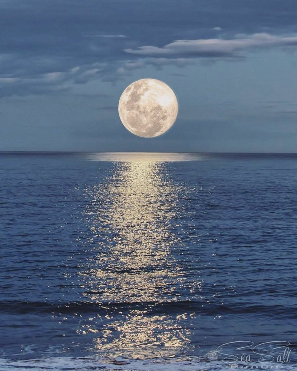 aestheticspost_'s tweet image. Ocean Moon.