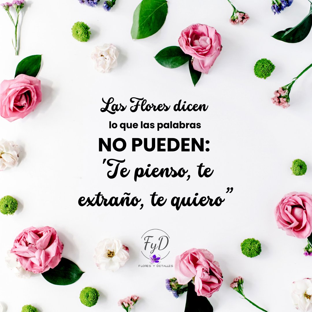 floreriaFyD's tweet photo. 🌹✨ Las flores dicen lo que las palabras no pueden 🌹 Mándanos un WhatsApp AQUÍ: https://t.co/LrHVqW4s4j #floresydetalles #floreria #cdjuarez #juarez https://t.co/ByNkLC8FEj