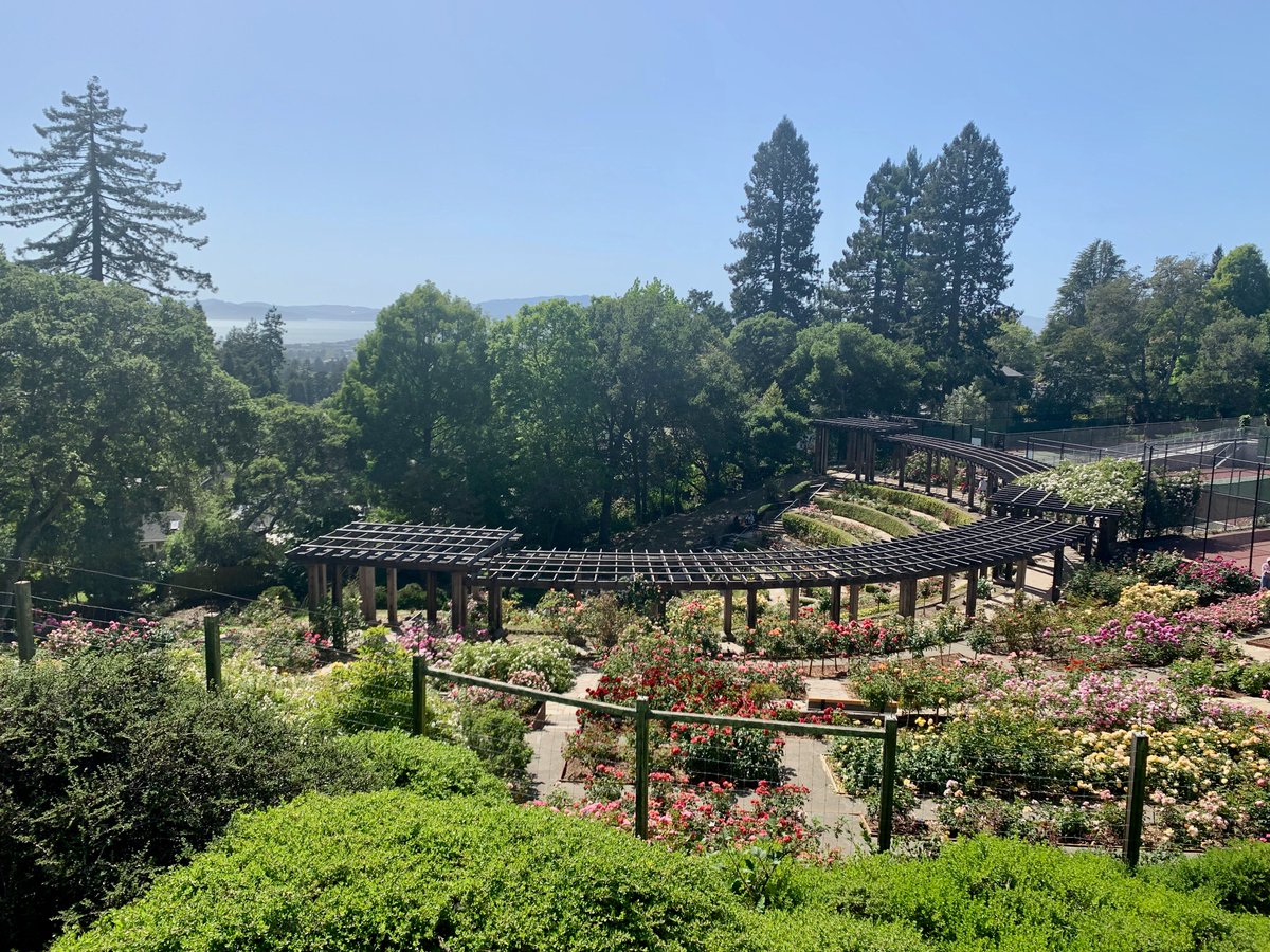Serina Chang (@serinachang5) on Twitter photo 📢 I’m recruiting PhD students for Fall'25 in <a href="/Berkeley_EECS/">UC Berkeley EECS</a> or <a href="/UCJointCPH/">UC Joint Computational Precision Health Program</a>! Please apply if you have related interests in AI for social good / networks / public health / social science
See my website for more on my research and how to apply: serinachang5.github.io
Please RT! 📢 I’m recruiting PhD students for Fall'25 in <a href="/Berkeley_EECS/">UC Berkeley EECS</a> or <a href="/UCJointCPH/">UC Joint Computational Precision Health Program</a>! Please apply if you have related interests in AI for social good / networks / public health / social science
See my website for more on my research and how to apply: serinachang5.github.io
Please RT!
