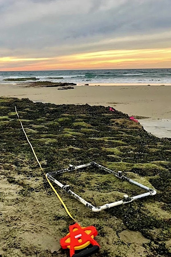 WetTribe's tweet photo. As we continue cleanup and sand removal post-hurricanes, we are researching spatial and temporal distribution, composition, and inventory of microplastics affected by the tides (and further by the storm surge.) #WetTribe #TidetotheOcean #MicroplasticsMonday https://t.co/JkCcbBlaNW