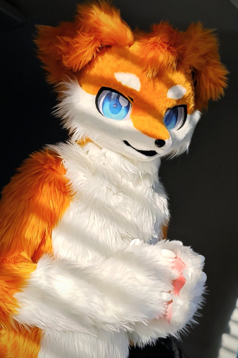 走过七年，七年时光，还是原先的模样