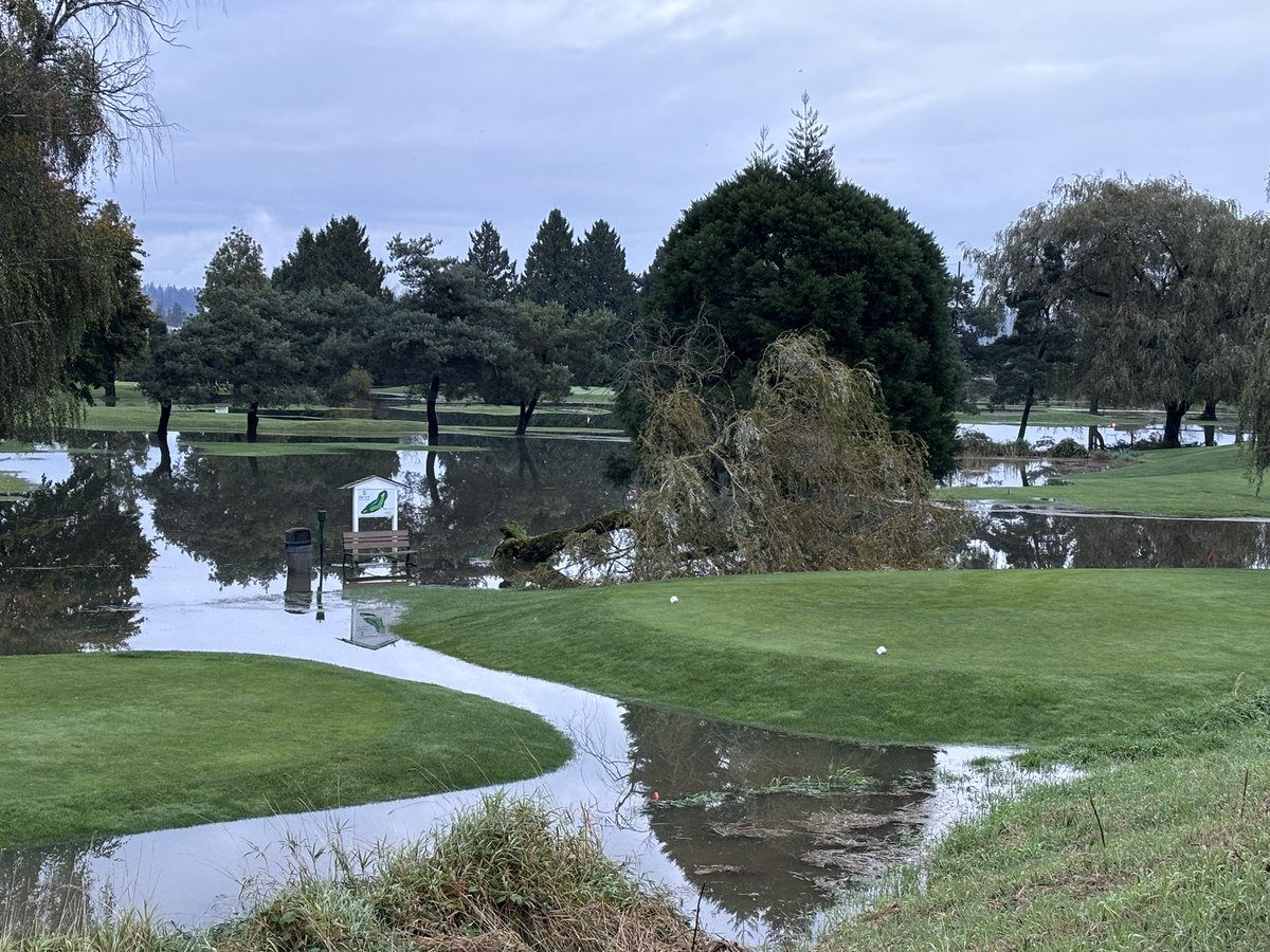 Daryl Jantzen tweet media