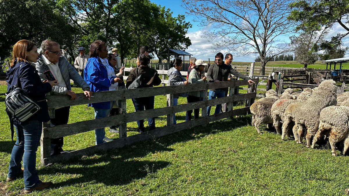 IAEA Technical Cooperation Programme tweet media