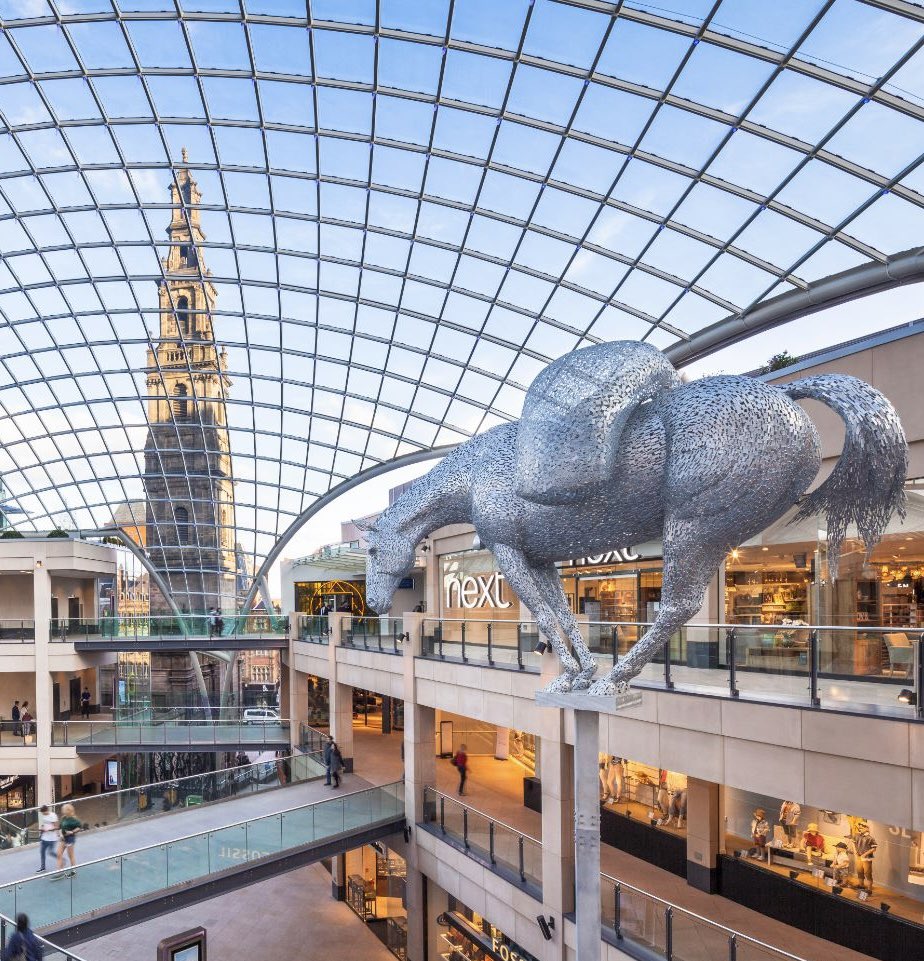 Blueberry Marketing tweet media