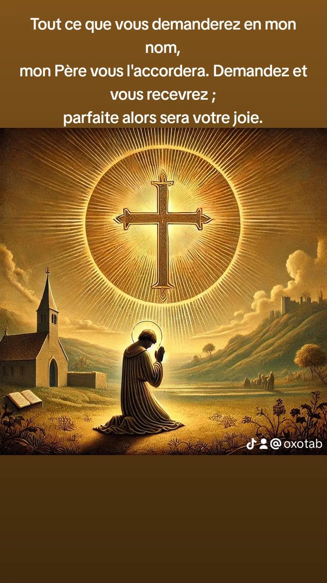 Soldat du Christ (@fabricebzh35) on Twitter photo 