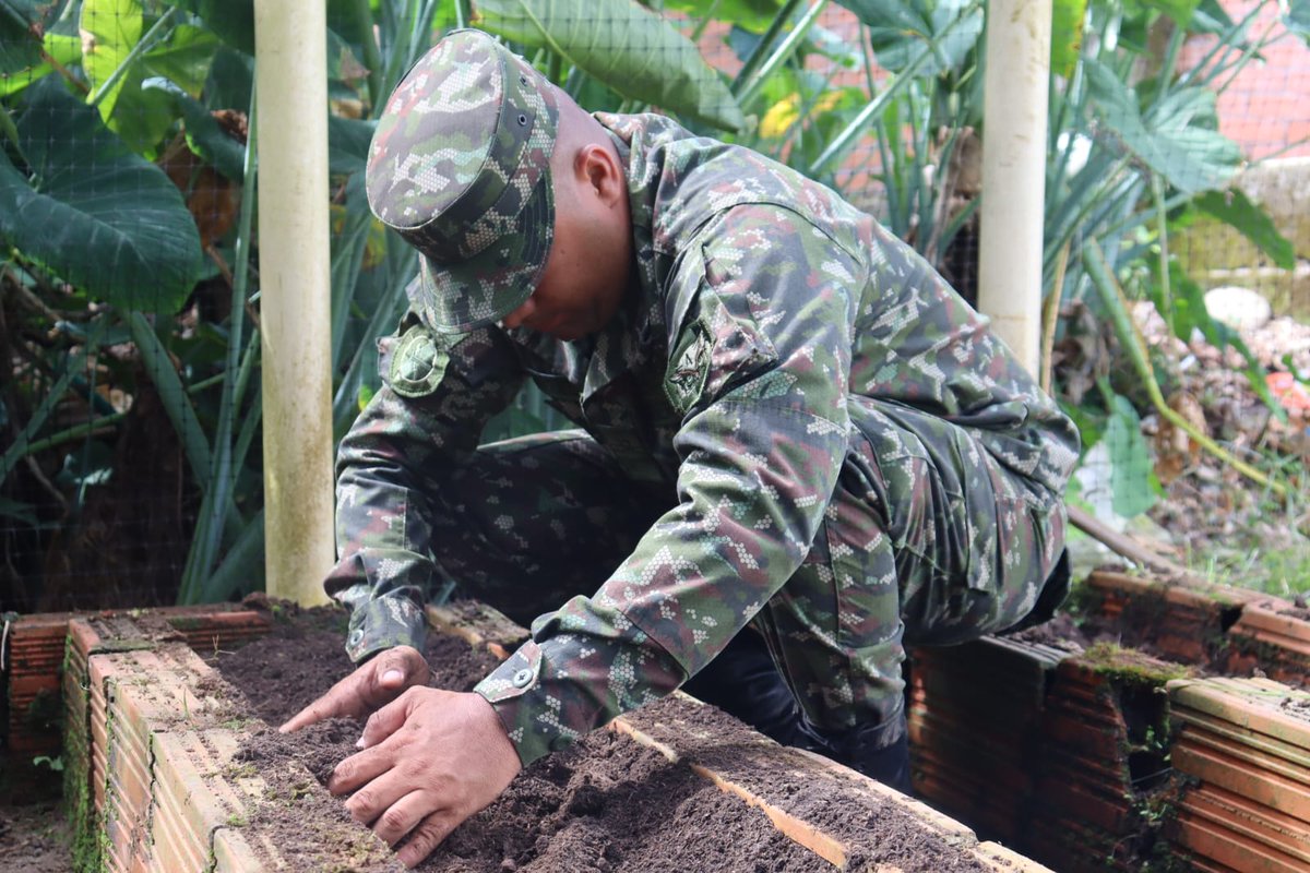 Ejercito_CAAID's tweet photo. Con el esfuerzo y dedicación de nuestros soldados del @COL_EJERCITO, cultivamos la tierra para fortalecer lazos, cosechar frutos y preservar las costumbres en la comunidad de Guamal, #Meta. 🌱
Nuestra #VeredaModelo sigue creciendo y floreciendo.
#NuestroCompromisoEsColombia https://t.co/3Dtb4mPfTx