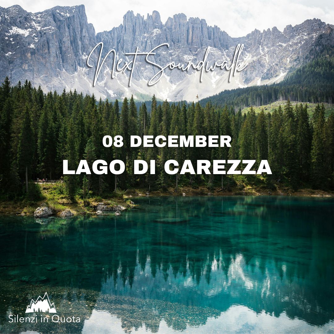 Silenzi in Quota tweet media