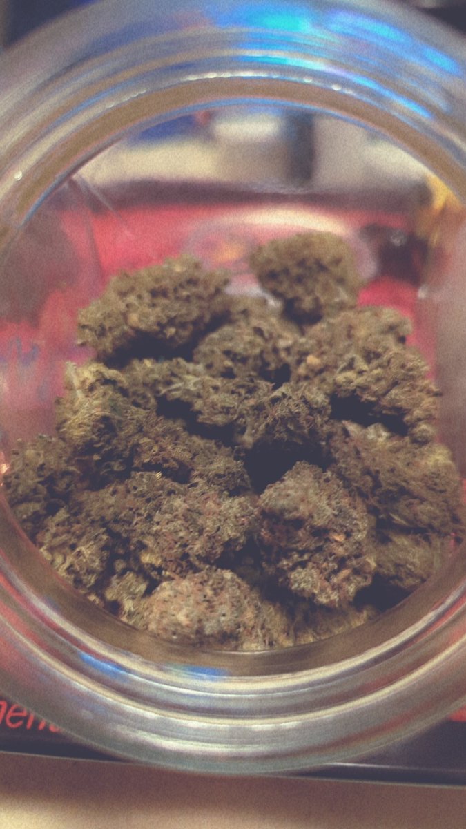 darkshadowblitz's tweet photo. Gelato 33 https://t.co/FydxcCmkVg