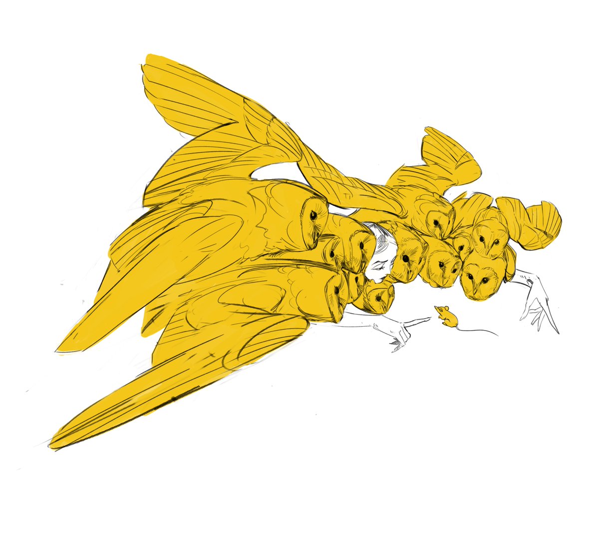 Hello little mouse 🦉🦉🦉