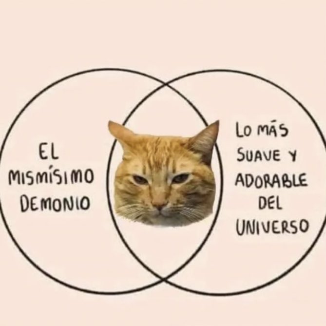 nacional_memes's tweet photo. 🐶 https://t.co/ReR0Ts2eRU