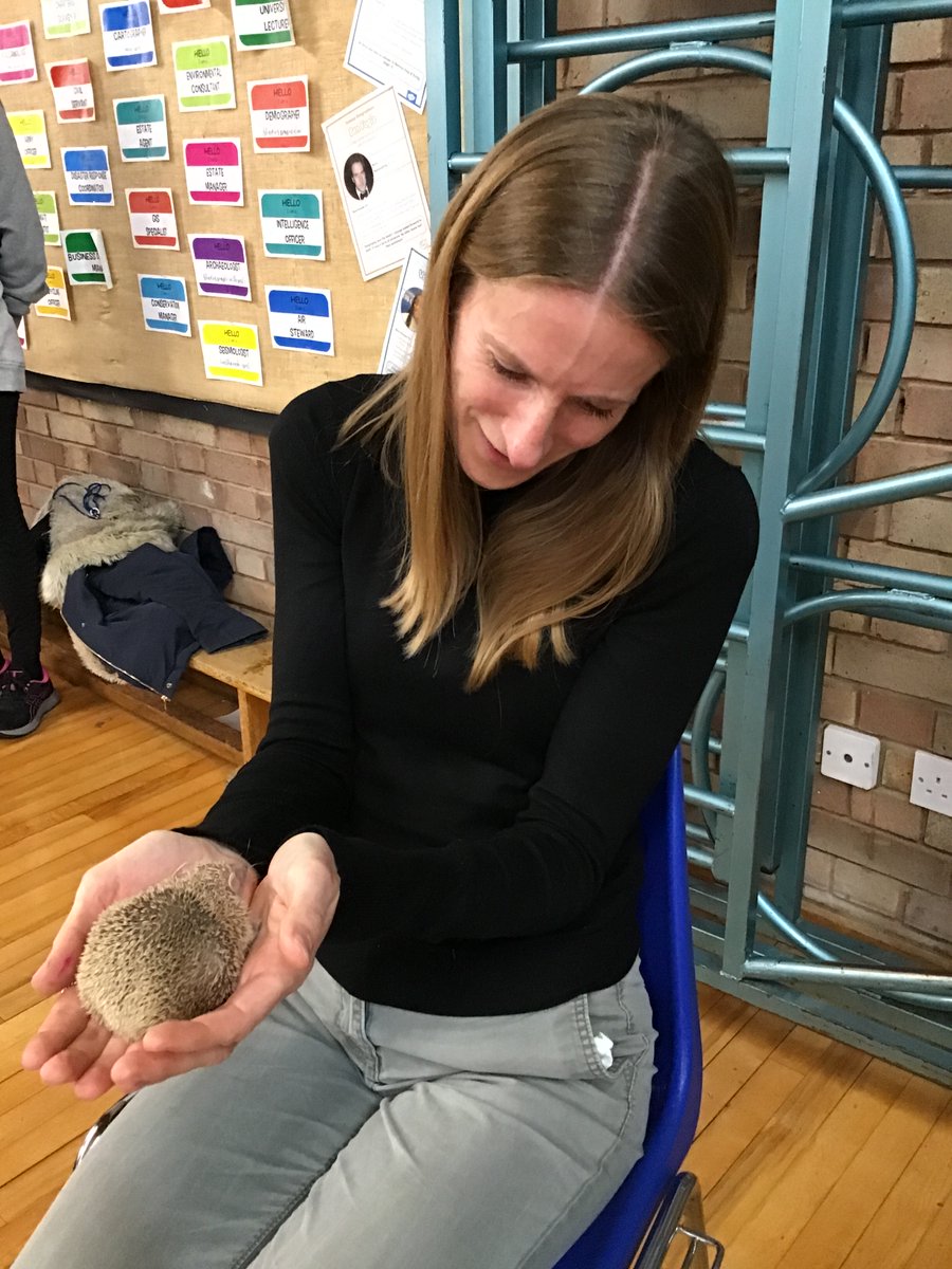 wiggiprimary's tweet photo. Exotic Animal Encounters! Today was a memorable first hand learning experience of the different animal groups for all children in KS1. In assembly the whole school got to see and learn about a leopard tortoise, pythons, skunks, and armadillos #wiggiscience #wiggiwellbeing https://t.co/ZjRuN3O6hx