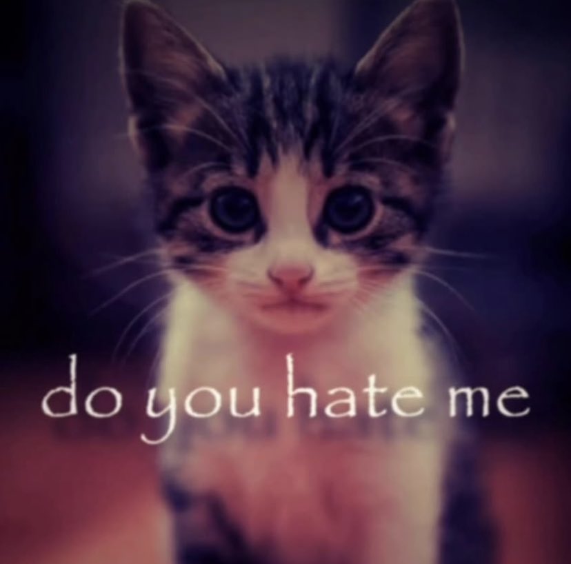 ✧ (@northstardoll) on Twitter photo 