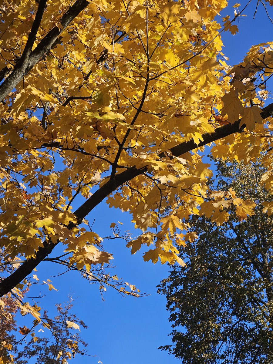 эта пора прекрасна 🍁
