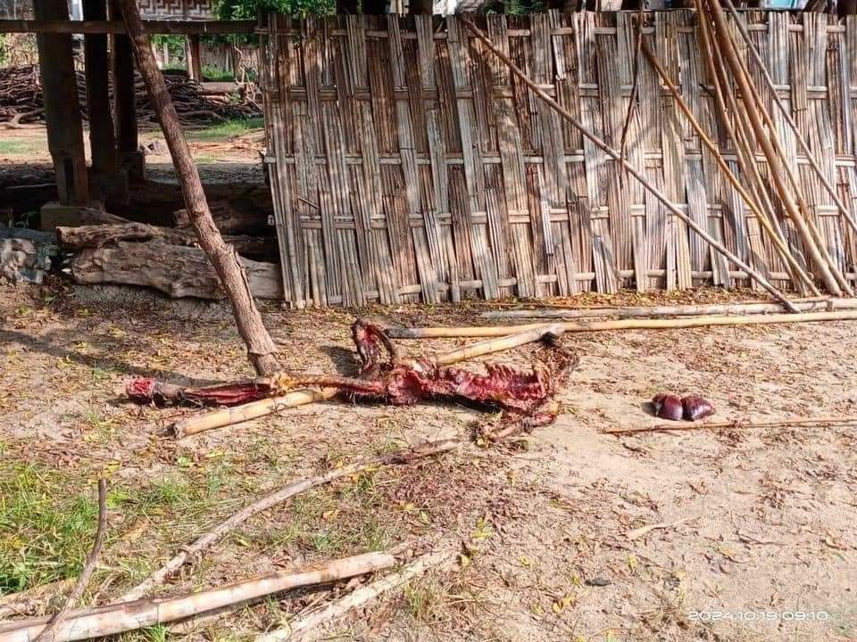 CDM_SayarAung's tweet photo. The military council's column from #33Division, which came out of Northwestern military headquarter MonYwa & also brutally killed #SiPa villagers were station in #SaiPyinLay village burned & arrested 12 residents.
#2024Oct21Coup
#WarCrimesOfJunta
#WhatsHappeninglnMyanmar https://t.co/6UoHZufORu