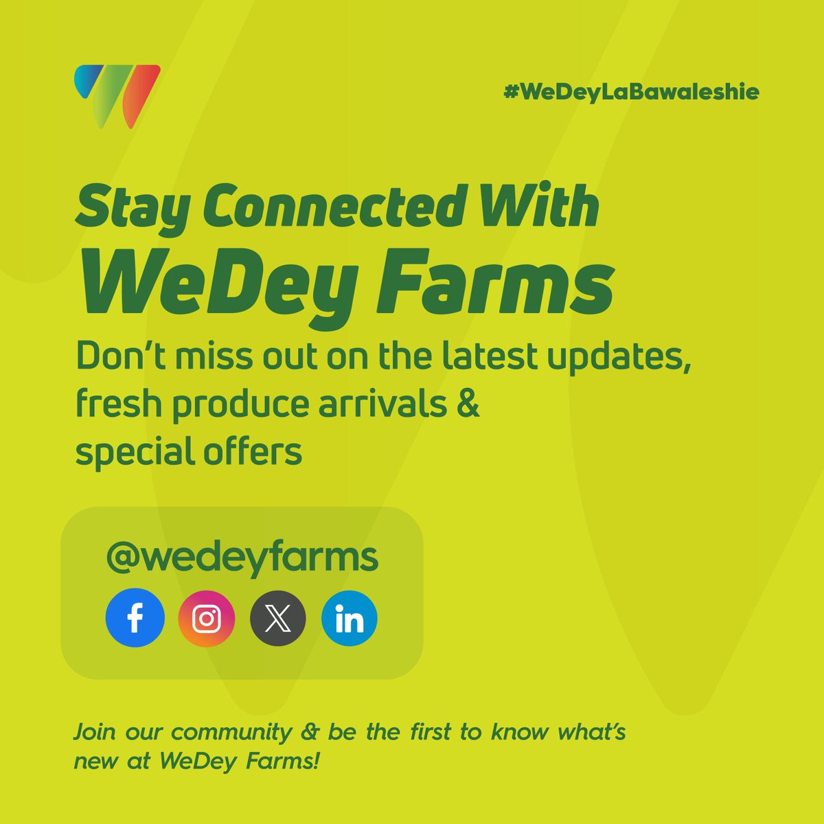 Wedeyfarms's tweet photo. Stay Connected with WeDey Farms
Follow us on our social media handles and get the latest updates, fresh produce arrivals and special offers
Join the community and be the first to know what’s new at WeDey Farms!
#WeDey4You #FarmToTable #PreOrderNow #EatFreshStayFresh #Fanofofoofo https://t.co/SuuTkP0auW