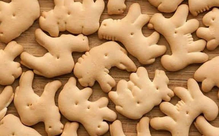 acg_dg's tweet image. #PoderosoGoteo
Unas galletas de animalitos para el desayuno después de escuchar  rompecabezas de los aterciopelados 🫠