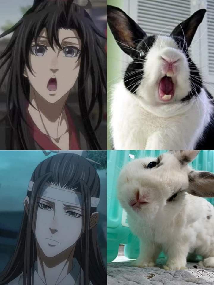 TmNacht's tweet photo. I see no difference! 😂
#MDZS #WangXian https://t.co/M10g2glIM9