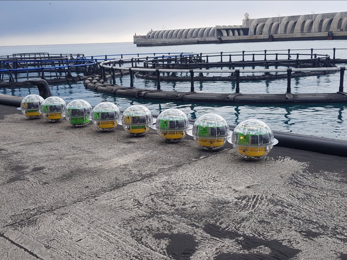 CIT_UPC's tweet photo. 🌊 En el marco del proyecto #MELOA, en el que participa el SARTI de @la_UPC, se han desarrollado nuevos dispositivos #drifters de bajo costo para mejorar los sistemas de observación y monitoreo del mar en zonas costeras y oceánicas. @OBSEAsarti
🔗 https://t.co/BfCzFtZTg0 https://t.co/vbaYwrwCuQ