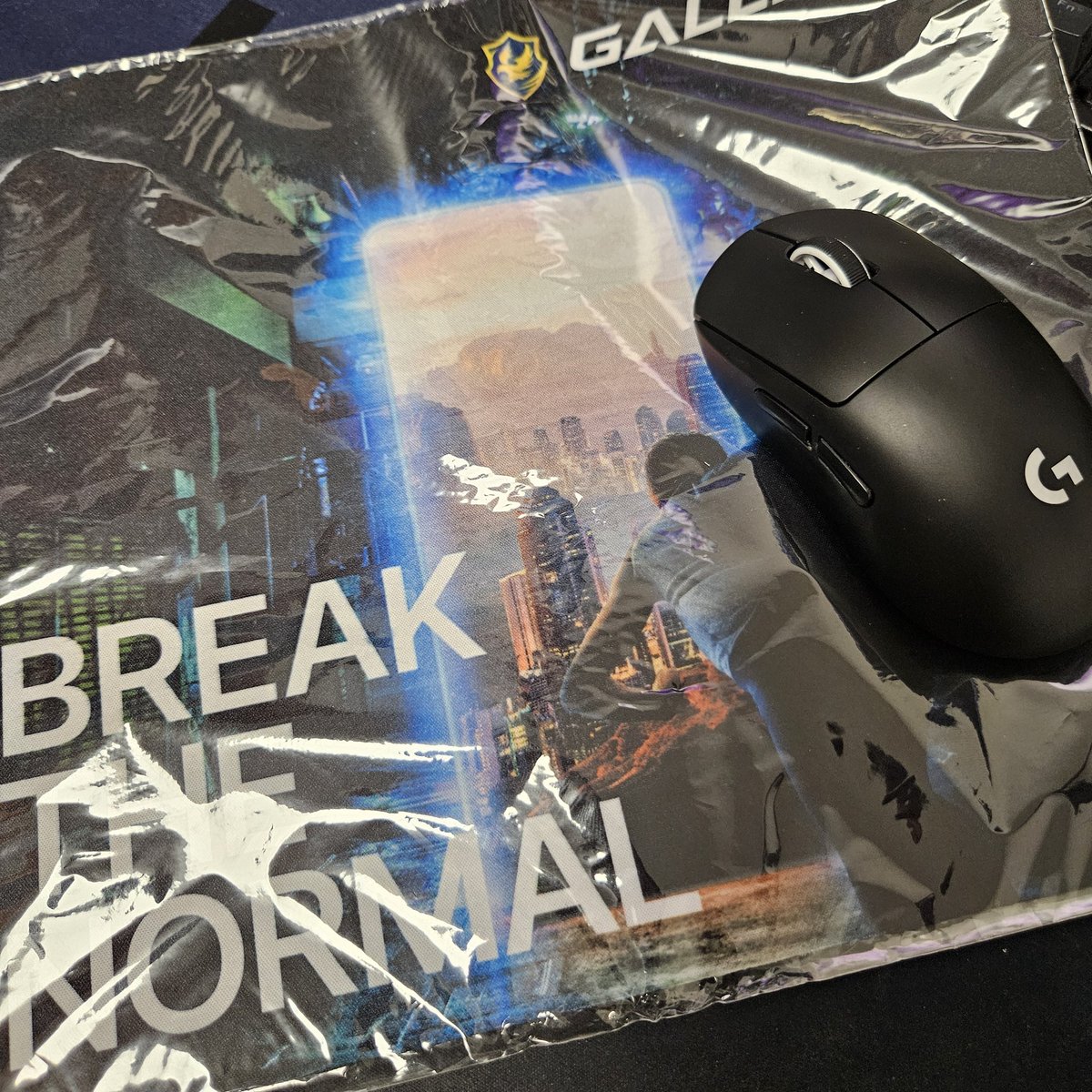DIFの優勝賞品 Gettodaze
