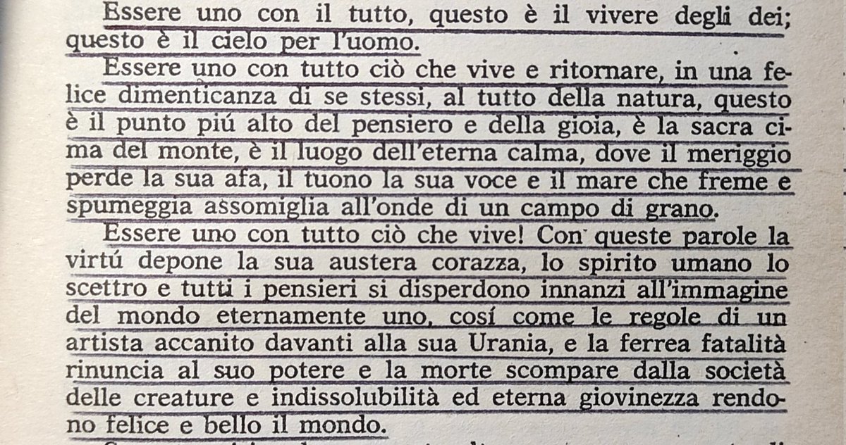 Tommaso Negri tweet media