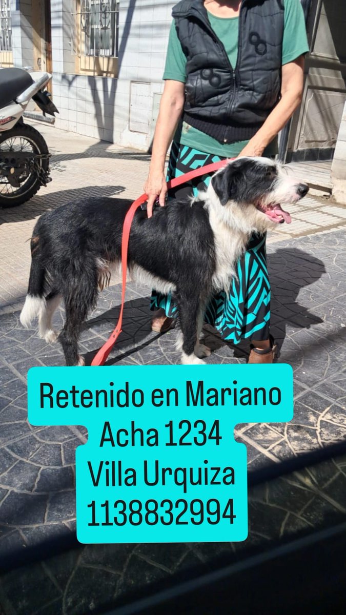 patripeyrou's tweet photo. Difundimos 
Rt https://t.co/7l9jZcypRl